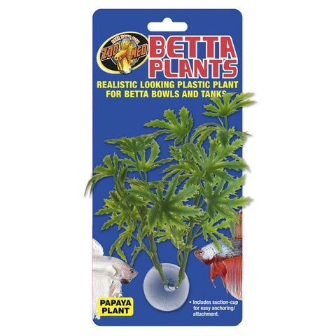 Betta Plant Papaya - Zoo Med
