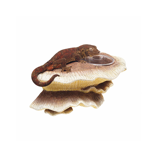 VERTICAL MUSHROOM FEEDING LEDGE ZILLA