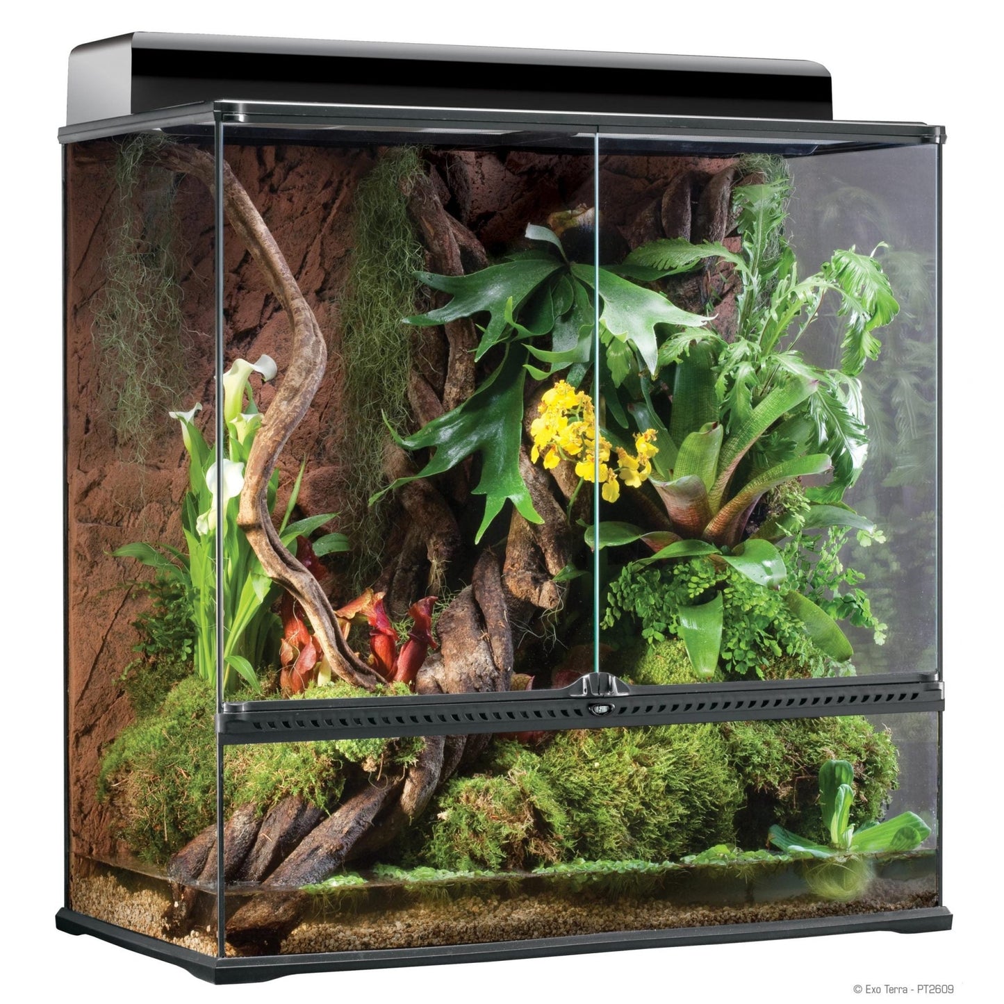 Exo Terra Advanced Paludarium & Rainforest Terrarium - Large X-Tall - (36" x 18" x 36")