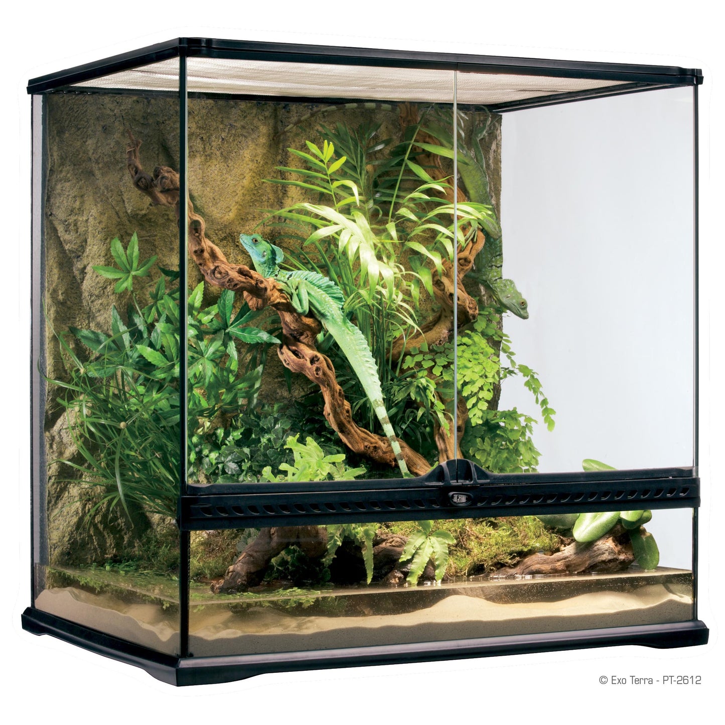 Exo Terra Tall Terrarium - Medium - 60 x 45 x 60cm, 24in x 18in x 24in