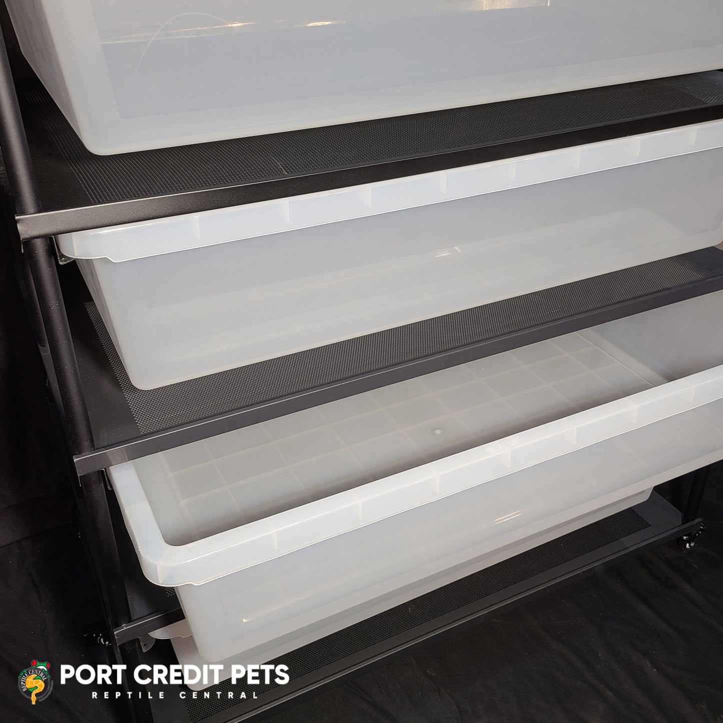 R180 RACK – REPTILE BIN 4 LEVEL 4 BIN COMPLETE SYSTEM