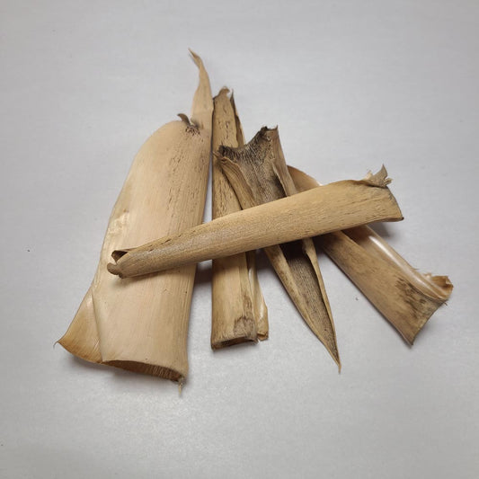 DRIED SMALL BAMBOO COVER PODS 5 PCS