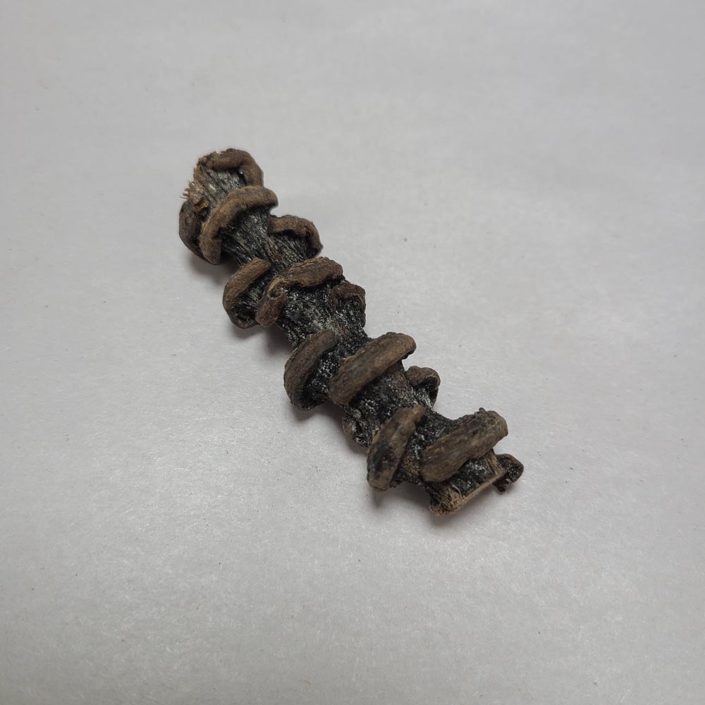 DRIED BANANA STEM 4PCS