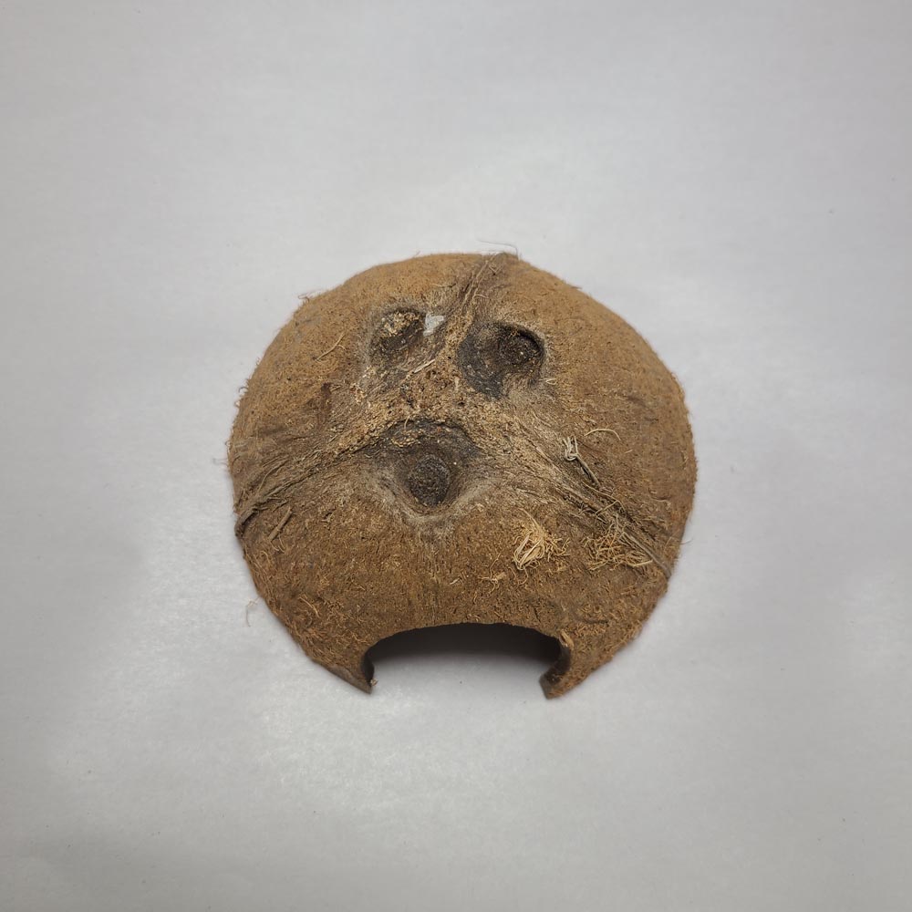 1/2 COCO SHELL CAVE 5PCS