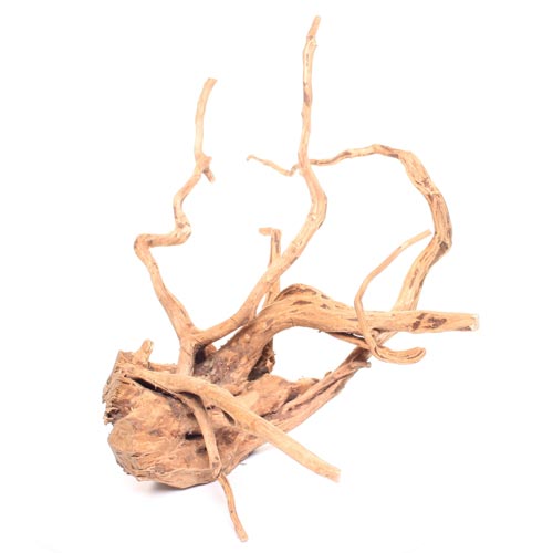 Terrarium Wood - Large