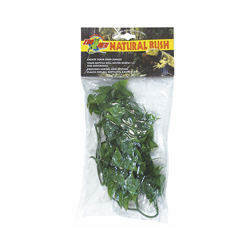 Mexican Phyllo Small -Zoo Med