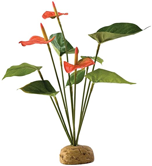 Exo Terra Anthurium Bush