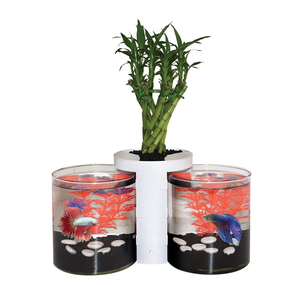 Elive Betta Cylinder and Planter "White"