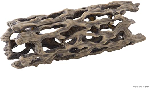 Exo Terra Cholla Cactus Skeleton Large
