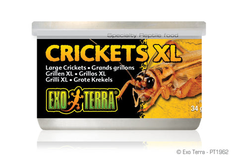 Exo Terra Crickets XL Canned Food 34g