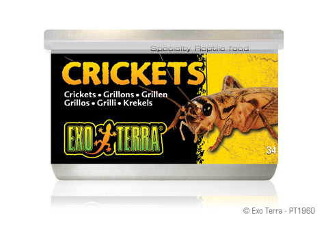 Exo Terra Crickets Canned Food 34g
