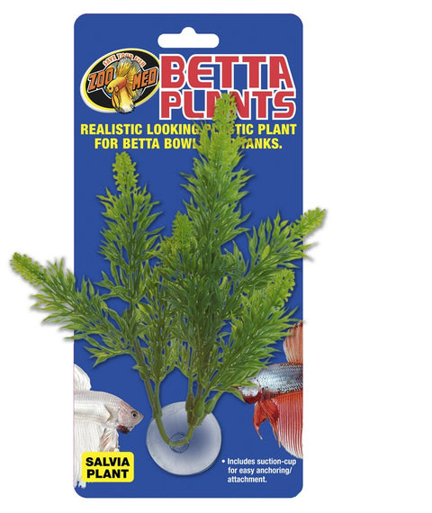 Betta Plant Salvia-  Zoo Med