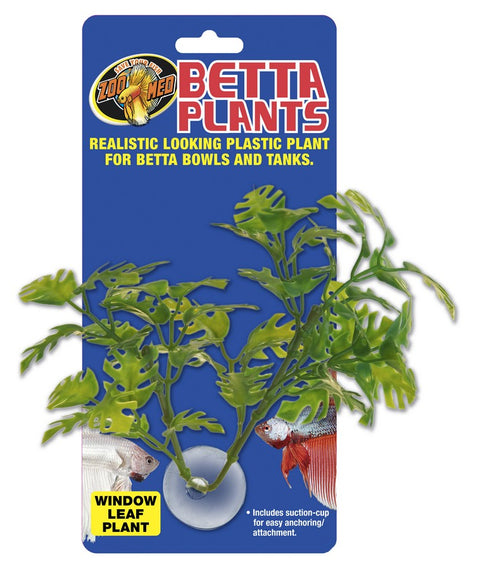 Betta Plant Window Leaf - Zoo Med