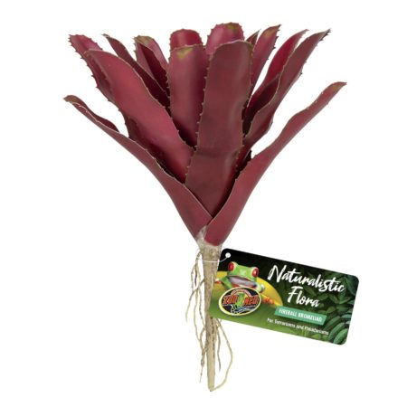 FIRBALL BROMELIAD NATURALISTIC FLORA ZOO MED