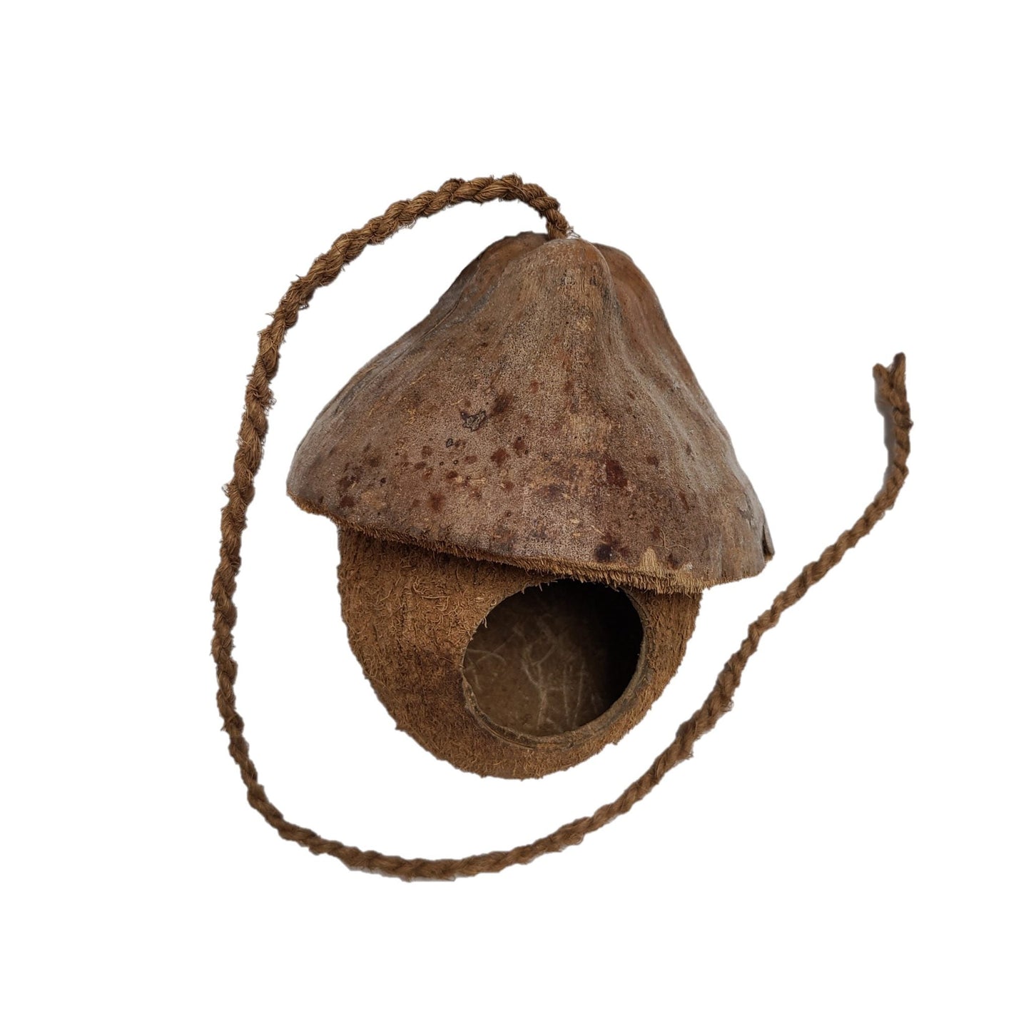 COCONUT SHELL HANGING NEST