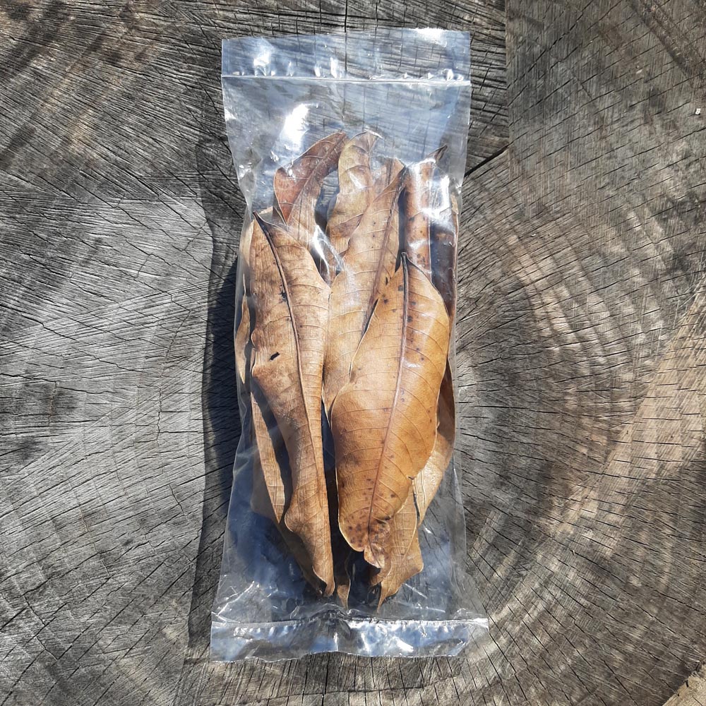 Mango Dried Small Leaves