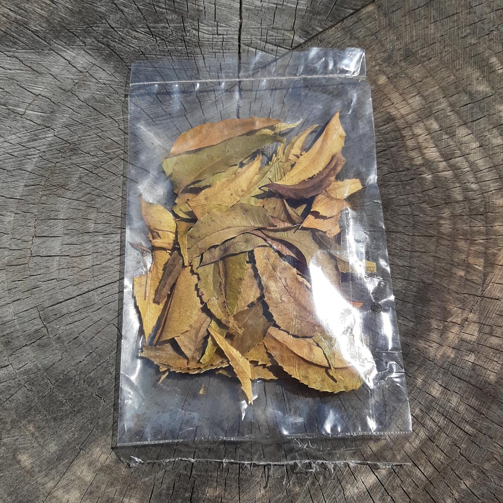 Neem ( Kohomba ) Mix Size Dried Leave
