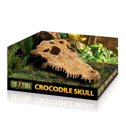 Exo Terra Terrarium Decor - Crocodile Skull