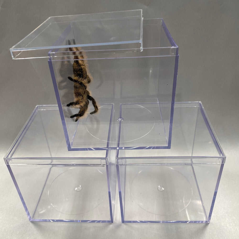 HABITAT 3 3/4" CUBE ACRYLIC