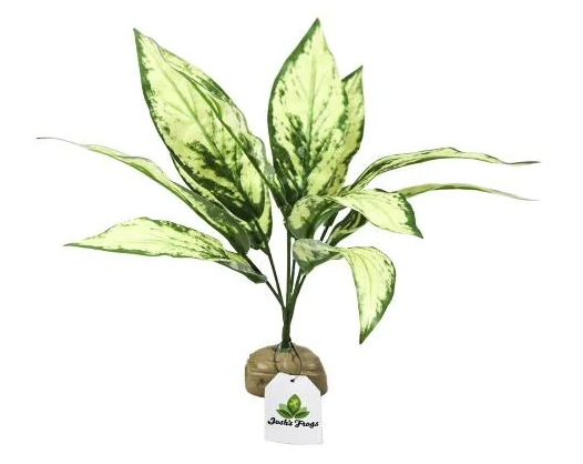 Josh's Frogs Artificial Aglaonema (Green Variegated)
