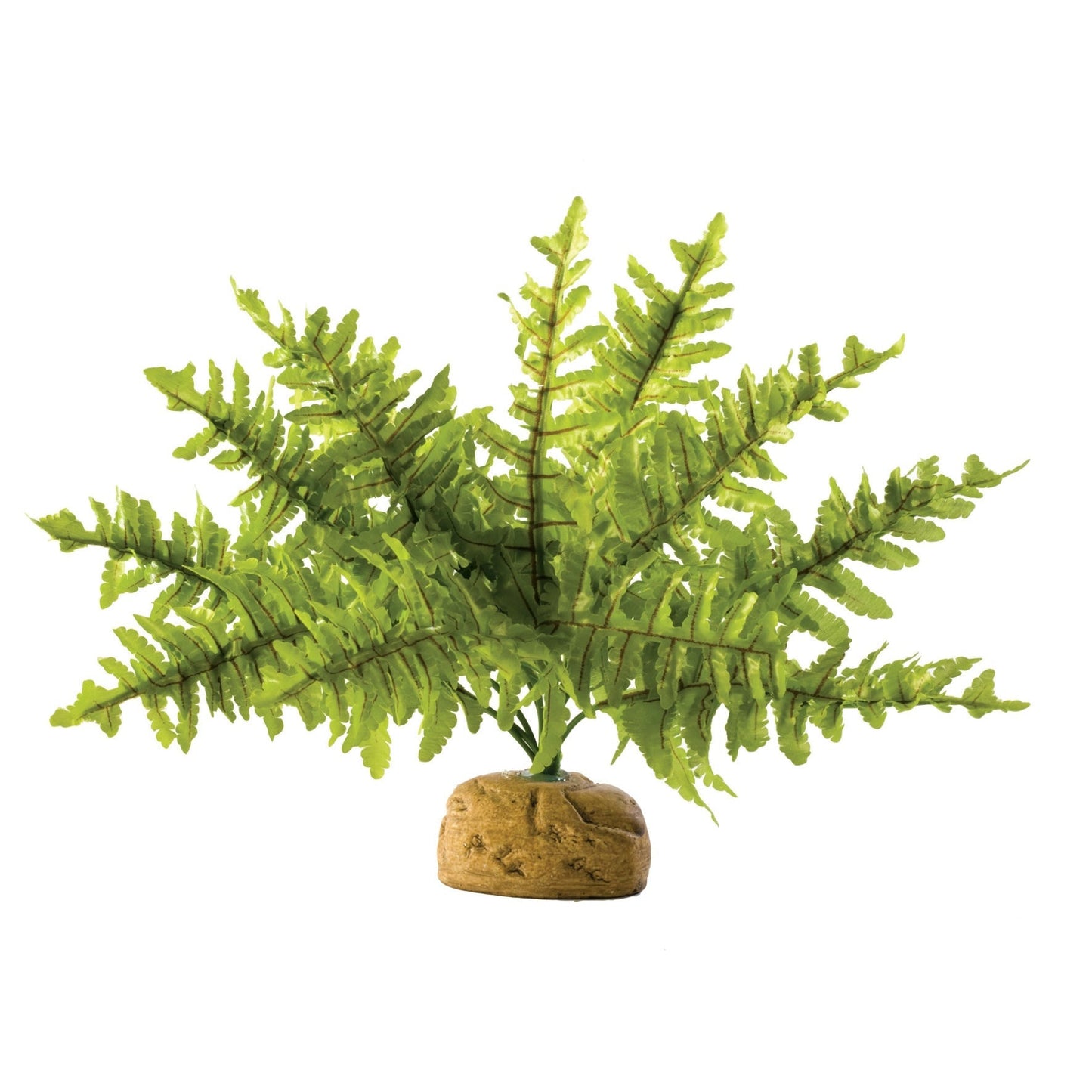 Exo Terra Boston Fern Small