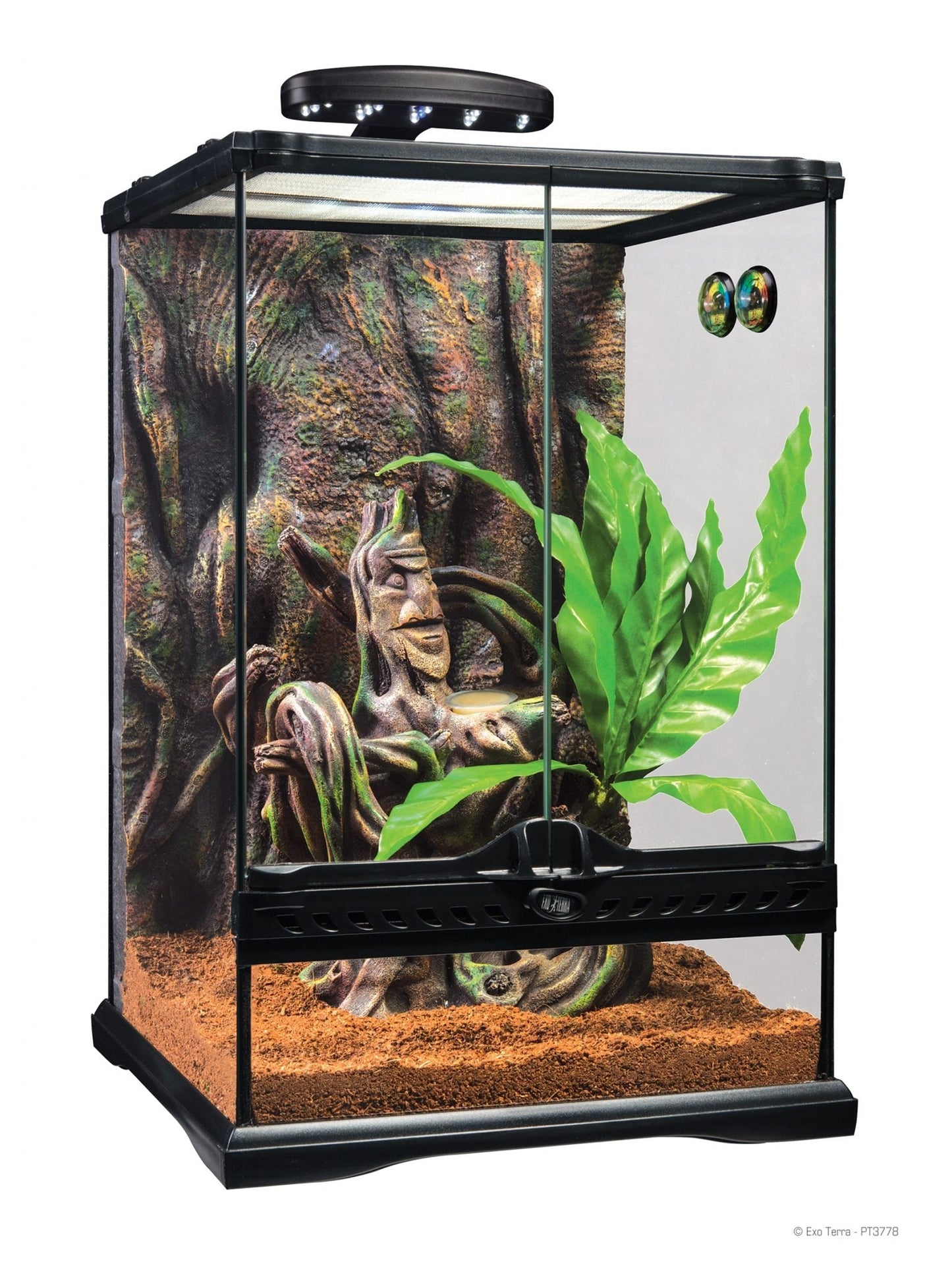 EXO TERRA 12x12x18" Arboreal Gecko Starter Kit