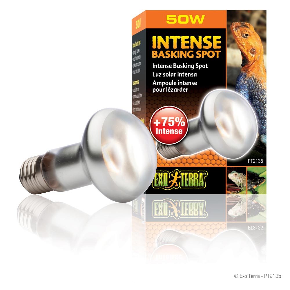 Intense Basking Spot 50W Exo Terra