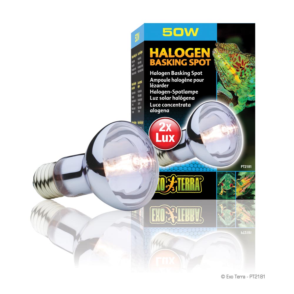 50w Halogen Basking Spot - Exo Terra