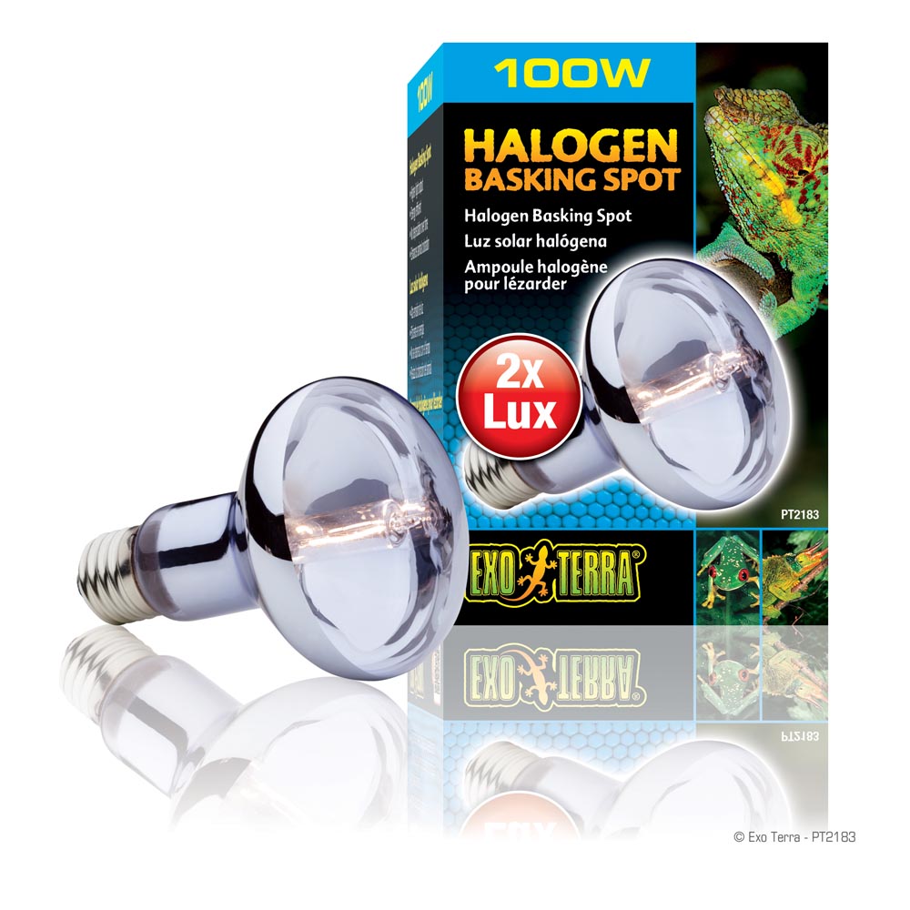 100W Halogen Basking Spot - Exo Terra
