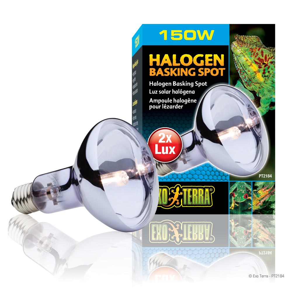 150W Halogen Basking Spot 150W - Exo Terra