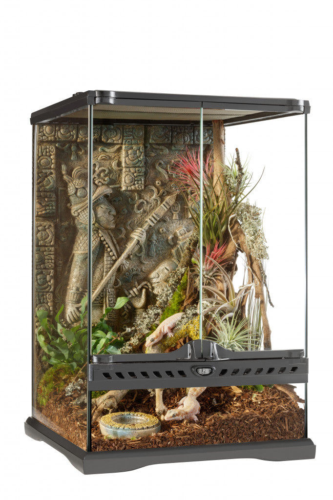 exo terra silk terrarium plant EXO TERRA 12x12x18" Glass Terrarium Atztec 30x30x45cm – Port Credit Pets