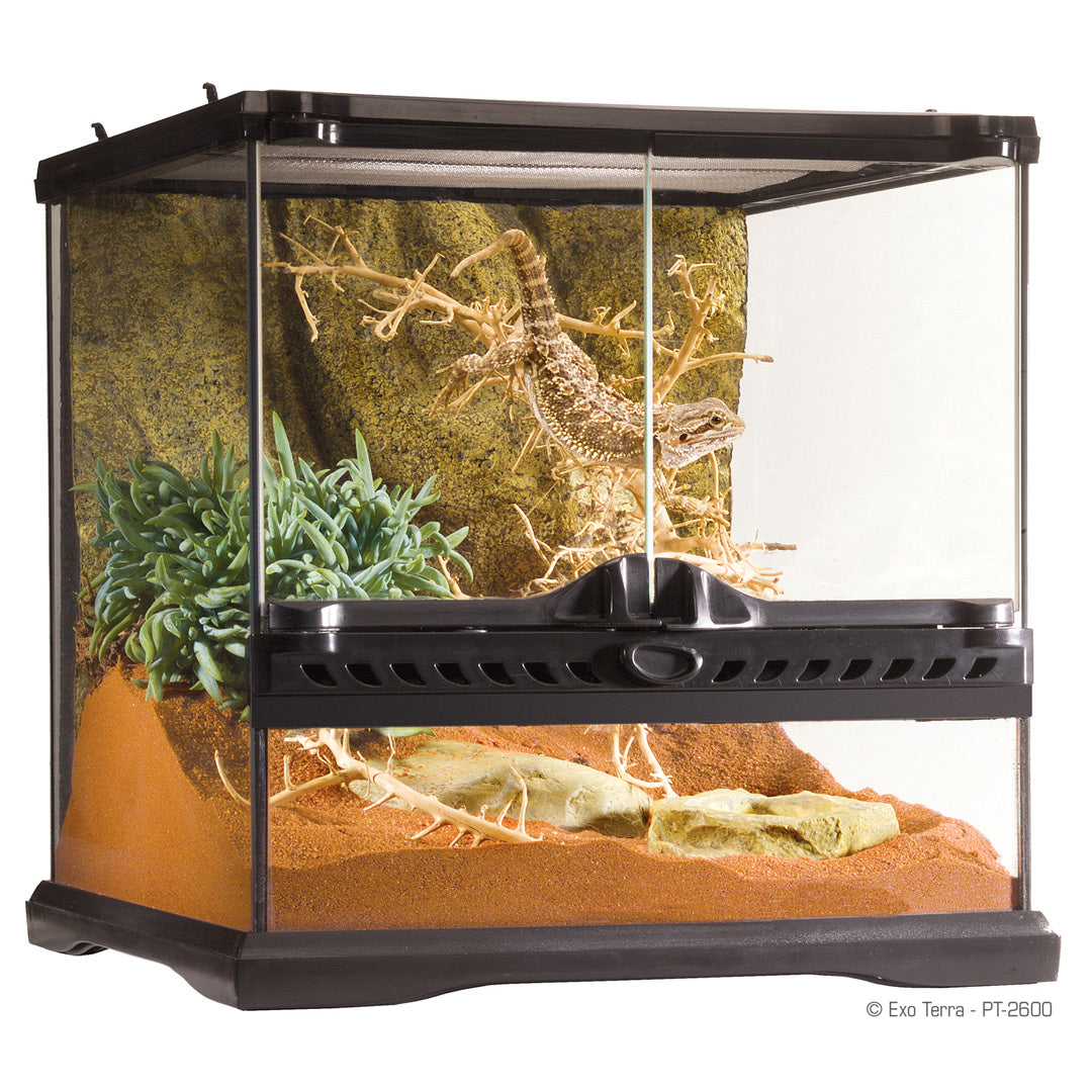 Exo Terra Mini Wide Terrarium - 30 x 30 x 30cm, 12in x 12in x 12in