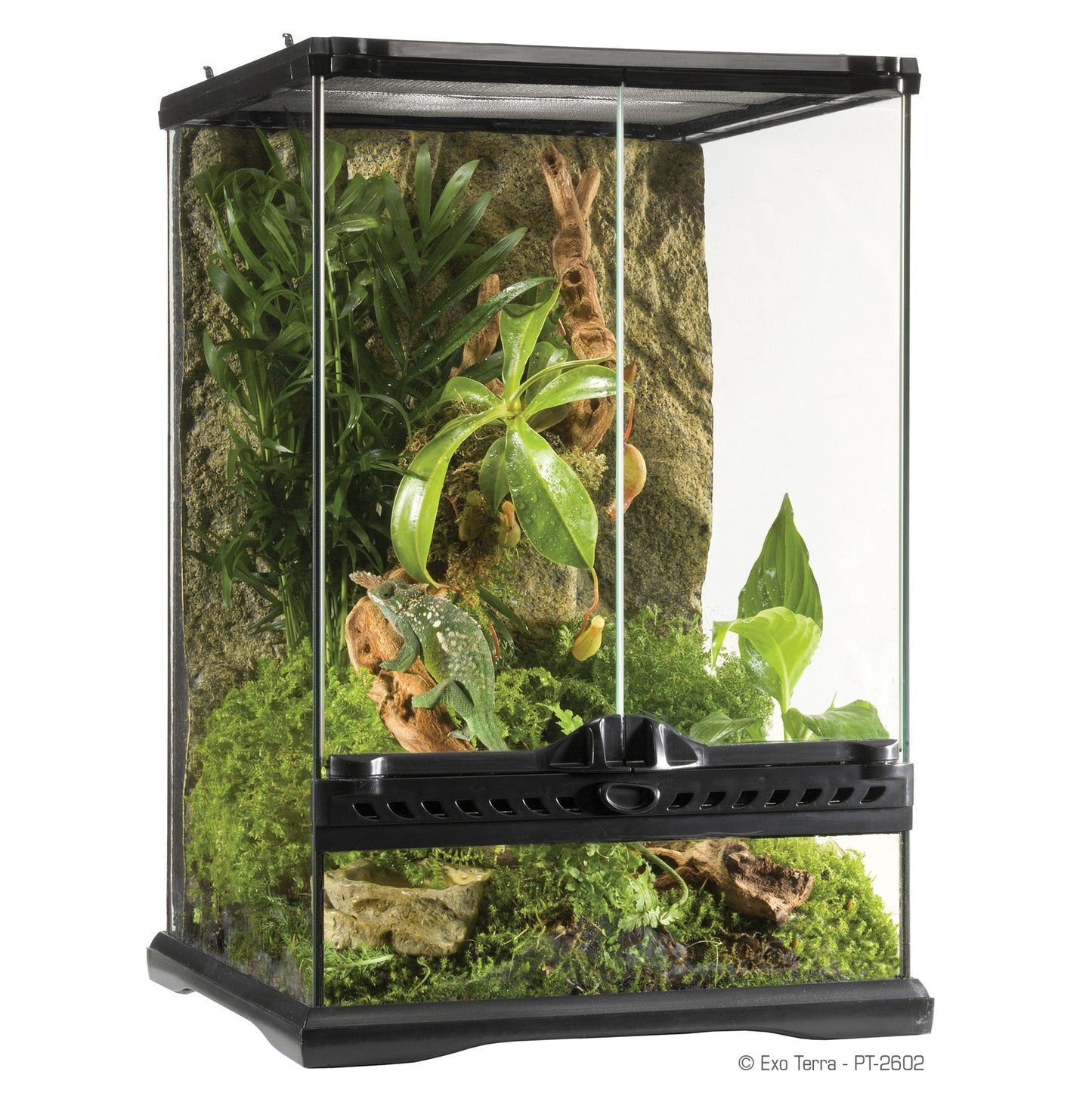 Exo Terra Mini Tall Terrarium - 30 x 30 x 45cm, 12in x 12in x 18in
