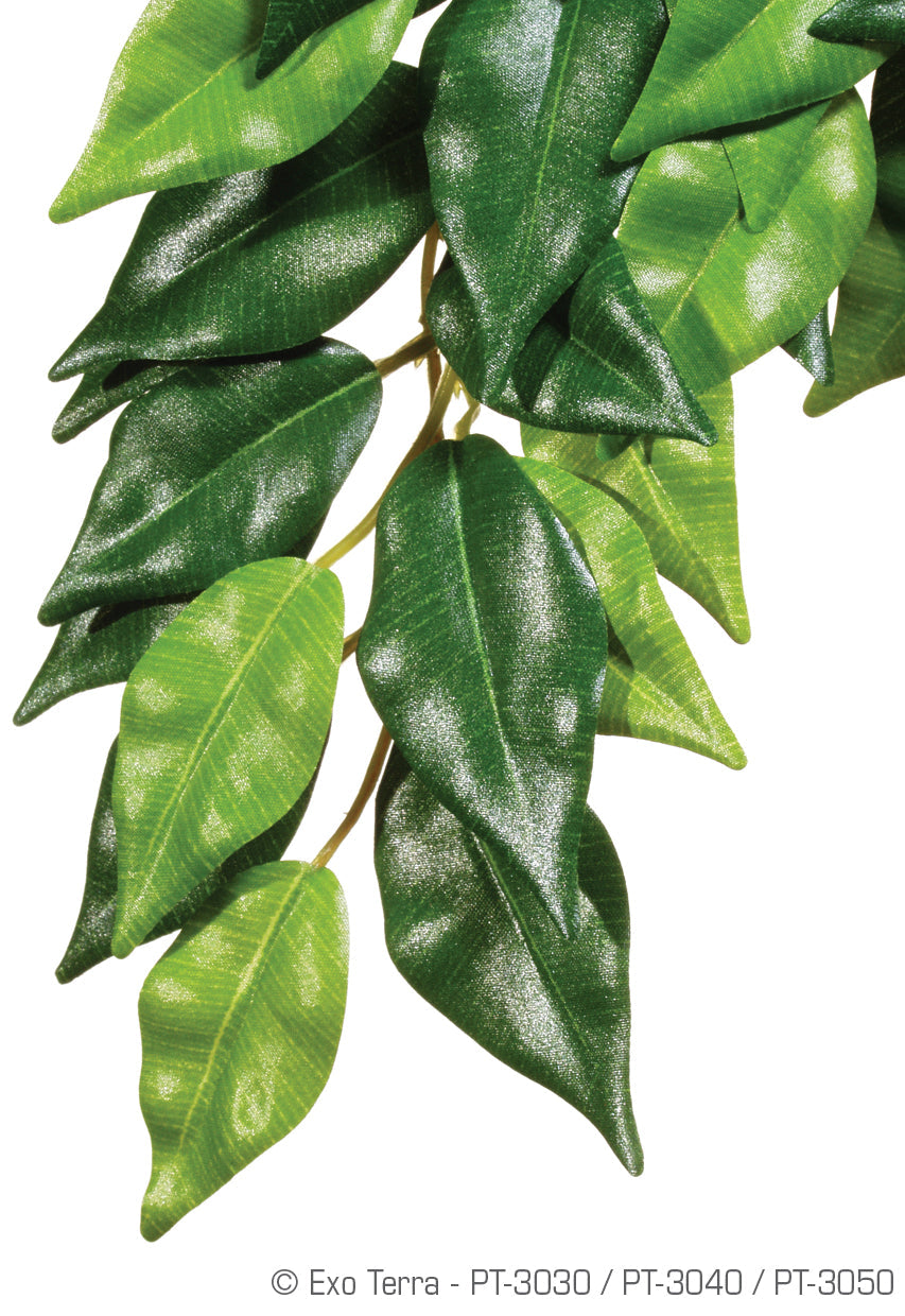 Exo Terra Silk Plant Small Ficus