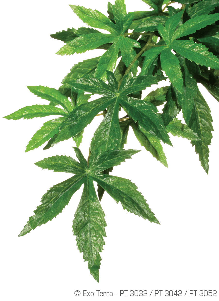 ABULITON SILK HANGING RAINFOREST PLANTS LARGE EXO TERRA