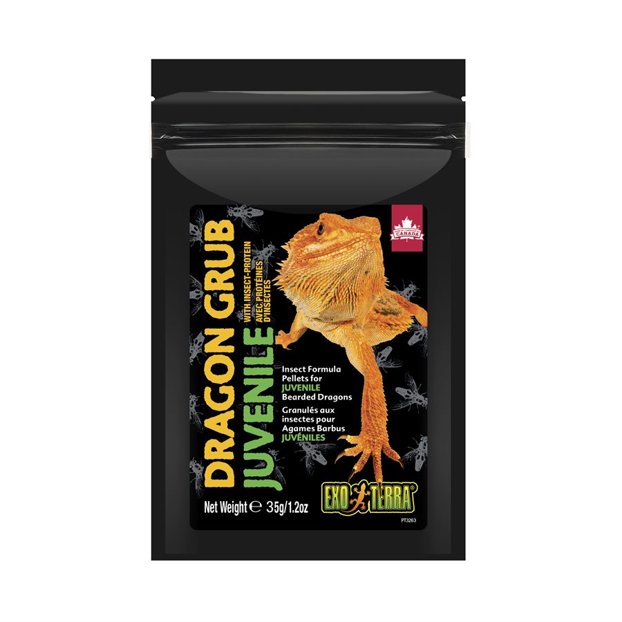 Exo Terra Bearded Dragon Grub Juvenile 35g