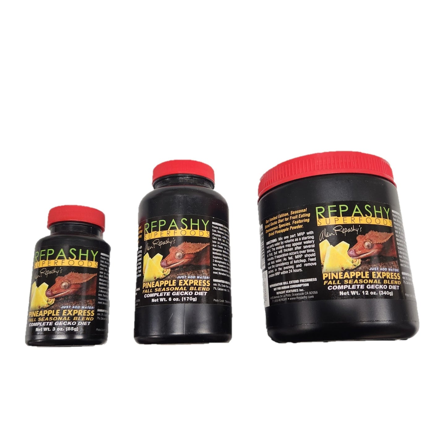 REPASHY ARBOREAL GECKO PINEAPPLE EXPRESS