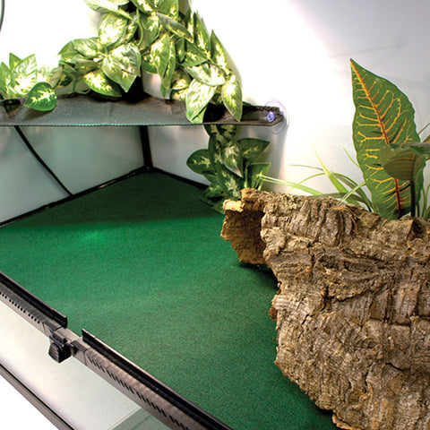 Reptile Carpet 60x50cm