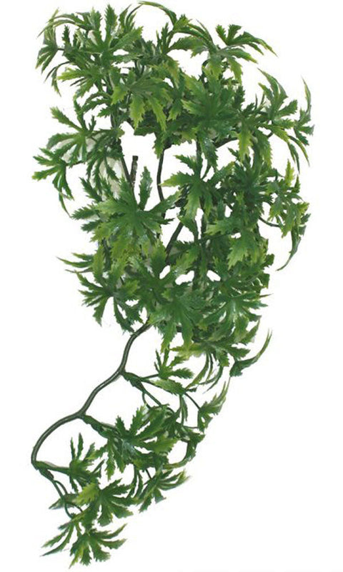 Papaya Leaf Vine 35cm
