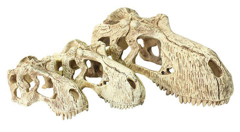 T-Rex Skull Large