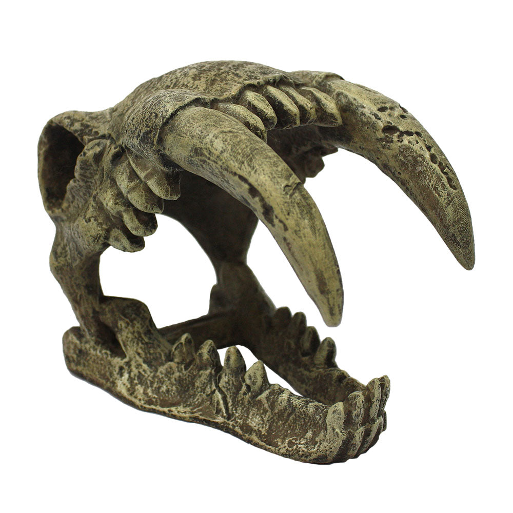 Sabre Tooth Skull