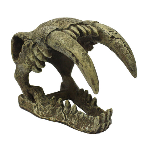 Sabre Tooth Skull