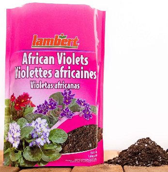 Lamberts African Violet Soil 4 Qt