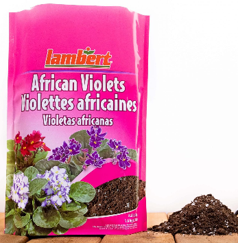 Lamberts African Violet Soil  4 Qt