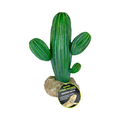 Saguaro Cactus Plant Decoration