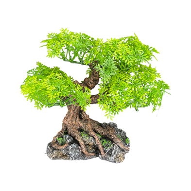 Bonsai Tree Standard Small Plant Decoration