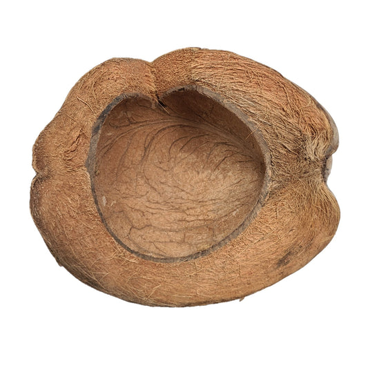 HALF COCONUT HIDEOUT