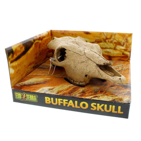 Buffalo Skull Small Exo Terra