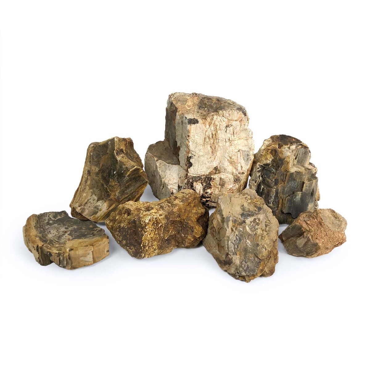 SR Aquaristik Petrified Wood Stone (44 lbs Box)