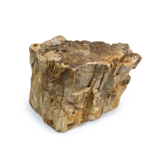 SR Aquaristik Petrified Wood Stone (44 lbs Box)